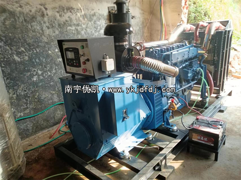2024年3月5日，200kw濰坊雷納發(fā)電機(jī)組某學(xué)校到貨安裝